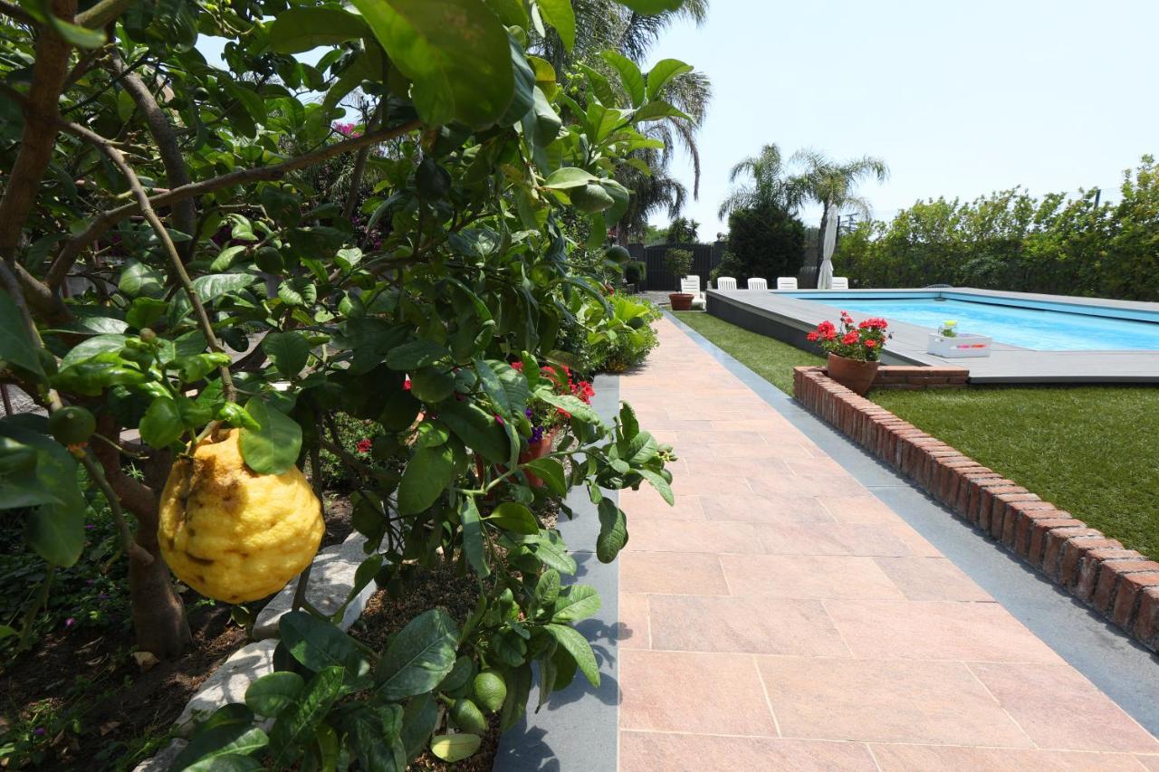Casa Delle Foglie Villa ซานโจวานี ลาปุนตา ภายนอก รูปภาพ