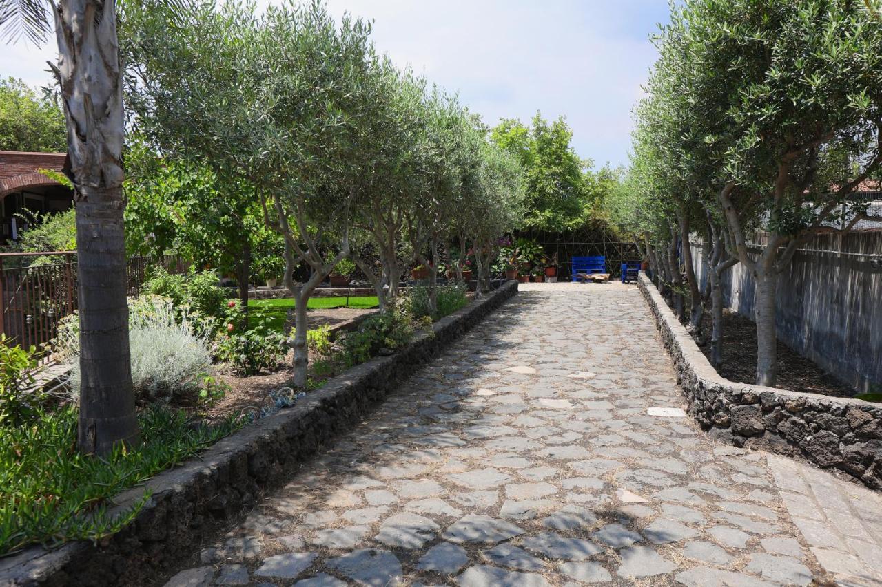 Casa Delle Foglie Villa ซานโจวานี ลาปุนตา ภายนอก รูปภาพ